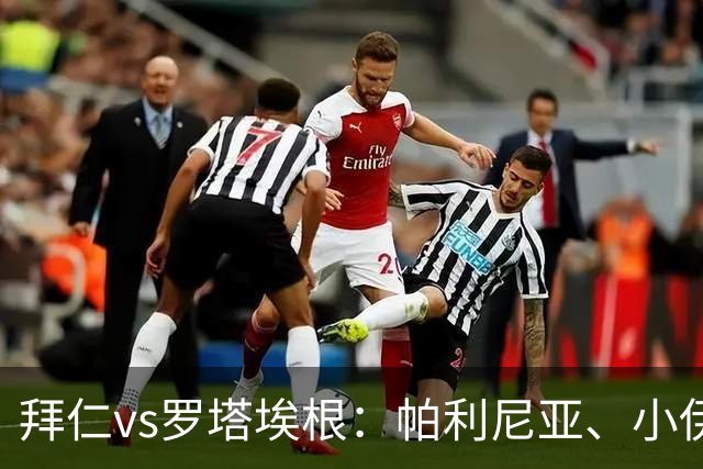 拜仁vs罗塔埃根：帕利尼亚、小伊布出战，比绍夫、帕维奇首发